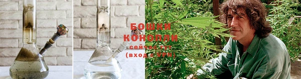 стаф Краснослободск