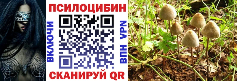 Псилоцибиновые грибы Psilocybe  Купить где  Москва 